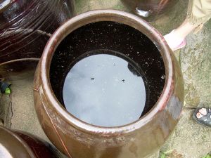 Traditional_Korean_soy_sauce